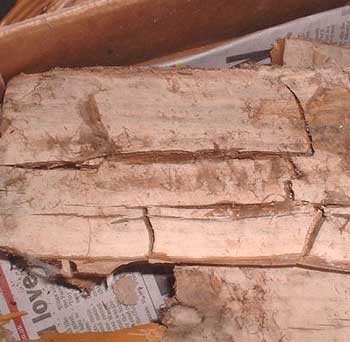 Curving skirting board - typical dry rot