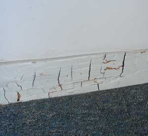 Dry Rot in skirting boards - note cubes developing