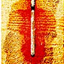 Curcumin Test showing the spread of Boron Treatment inside a wooden post